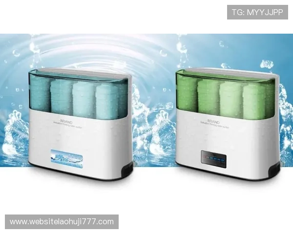 pp王者电子官网客户服务与售后支持，保障您的电子产品使用体验与权益保障