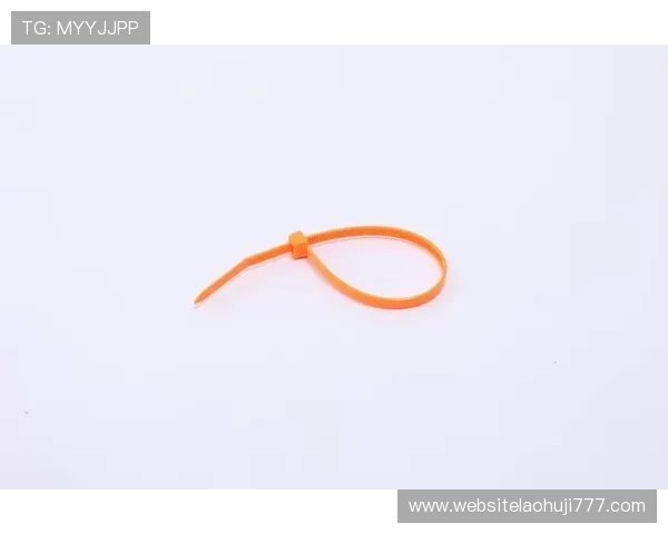 PP电子平台登录遇到问题怎么办？详细解决方案与常见问题解答