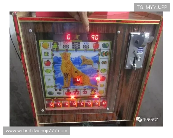 官方正版777老虎机官方下载平台，提供丰富游戏内容和优质客服支持