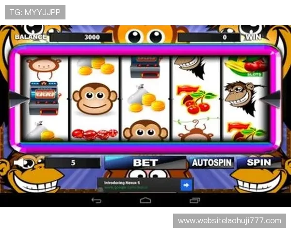 老虎机真人平台有哪些具有创新游戏玩法和优质用户体验的推荐